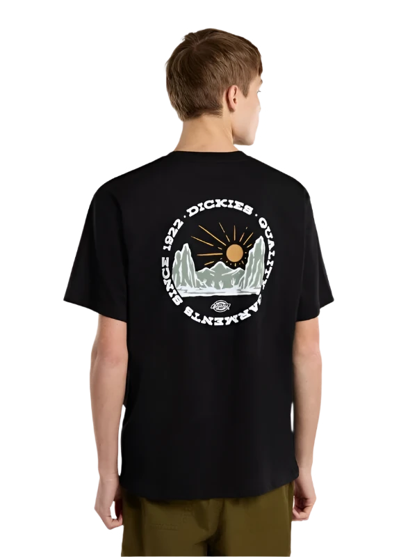 DIckies Outdoor SS Tee