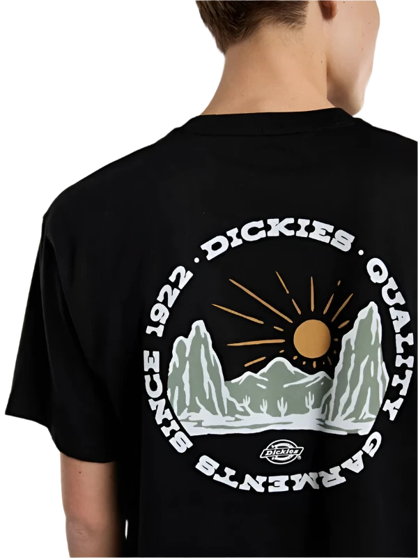 DIckies Outdoor SS Tee