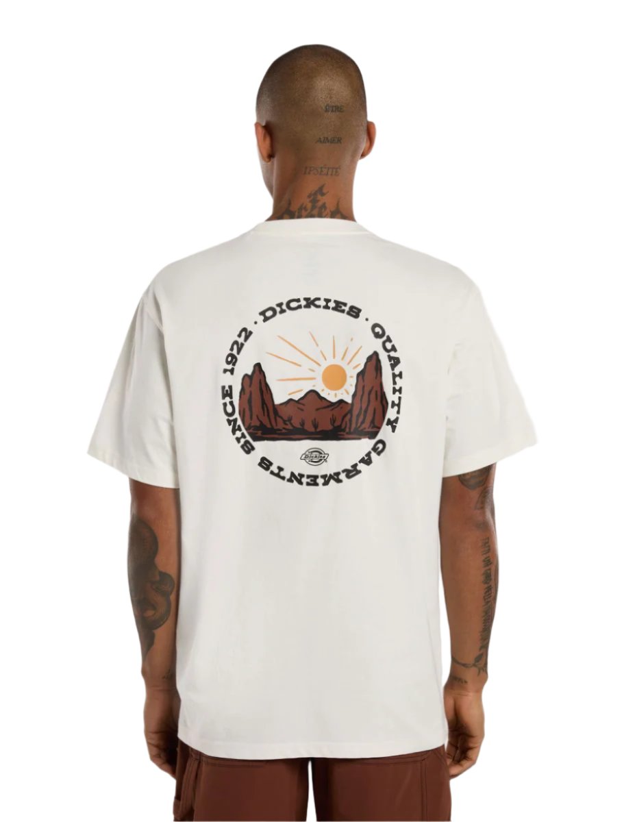 DIckies Outdoor SS Tee