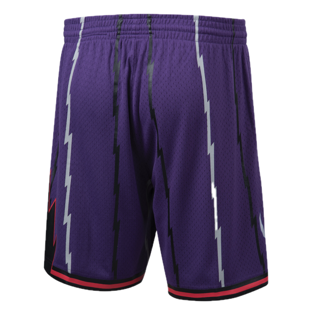 Raptors Short Purple