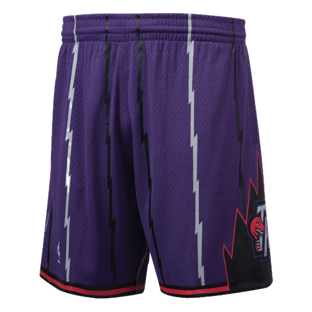 Raptors Short Purple