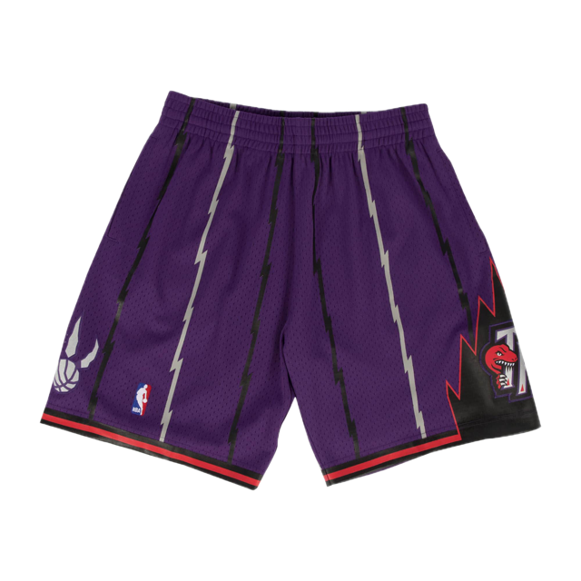 Raptors Short Purple