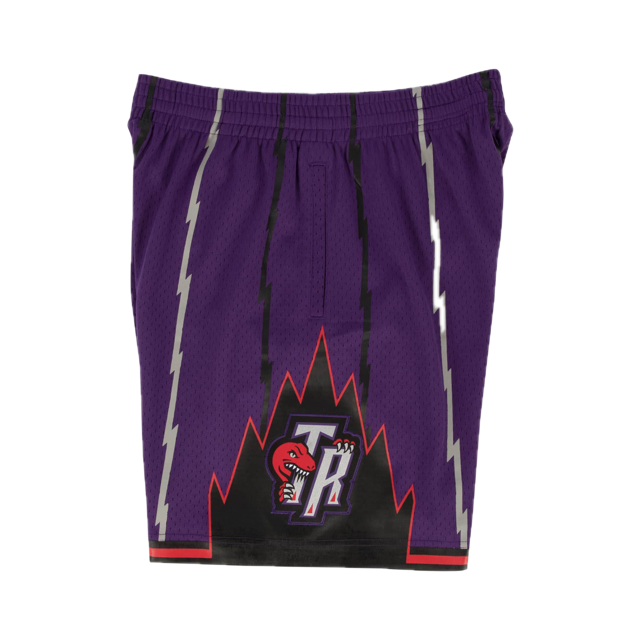 Raptors Short Purple