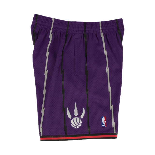 Raptors Short Purple