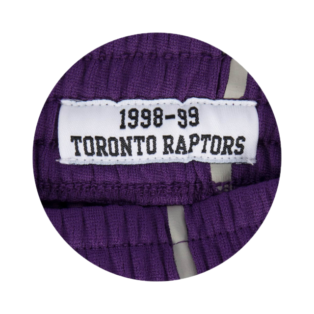 Raptors Short Purple