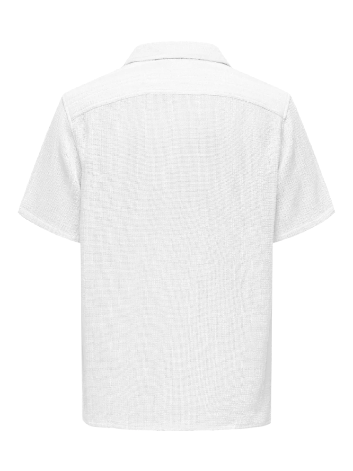 Trev Life Reg Stripe SS Shirt
