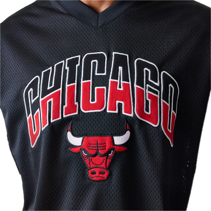 NBA Arch Mesh Jersey Bulls