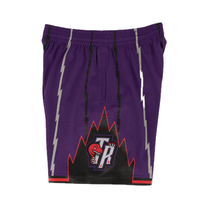 Raptors Short Purple