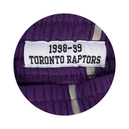 Raptors Short Purple