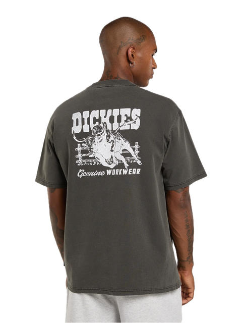 Buchtell SS Tee