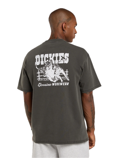 Buchtell SS Tee