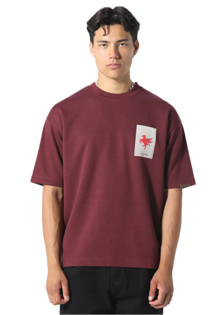 Pas de Monaco La Pegaus