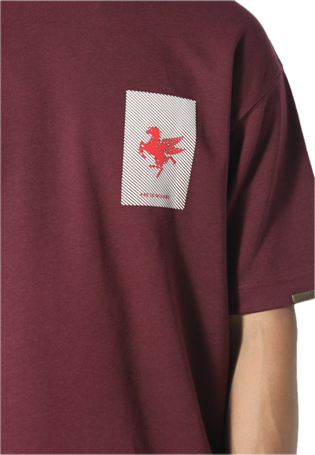 Pas de Monaco La Pegaus