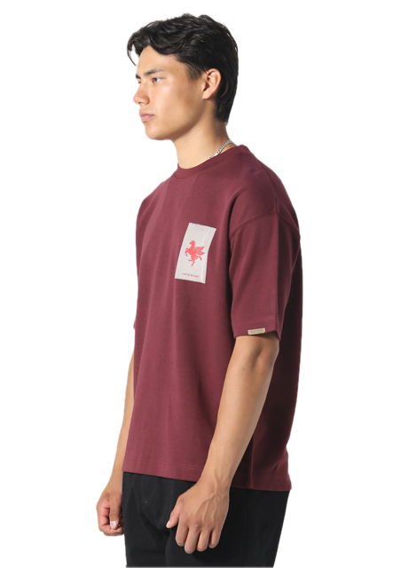 Pas de Monaco La Pegaus