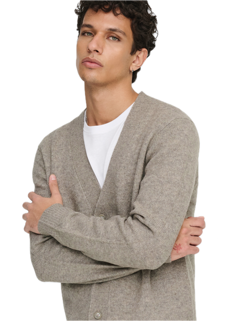 Ray Reg LS Cardigan Knit