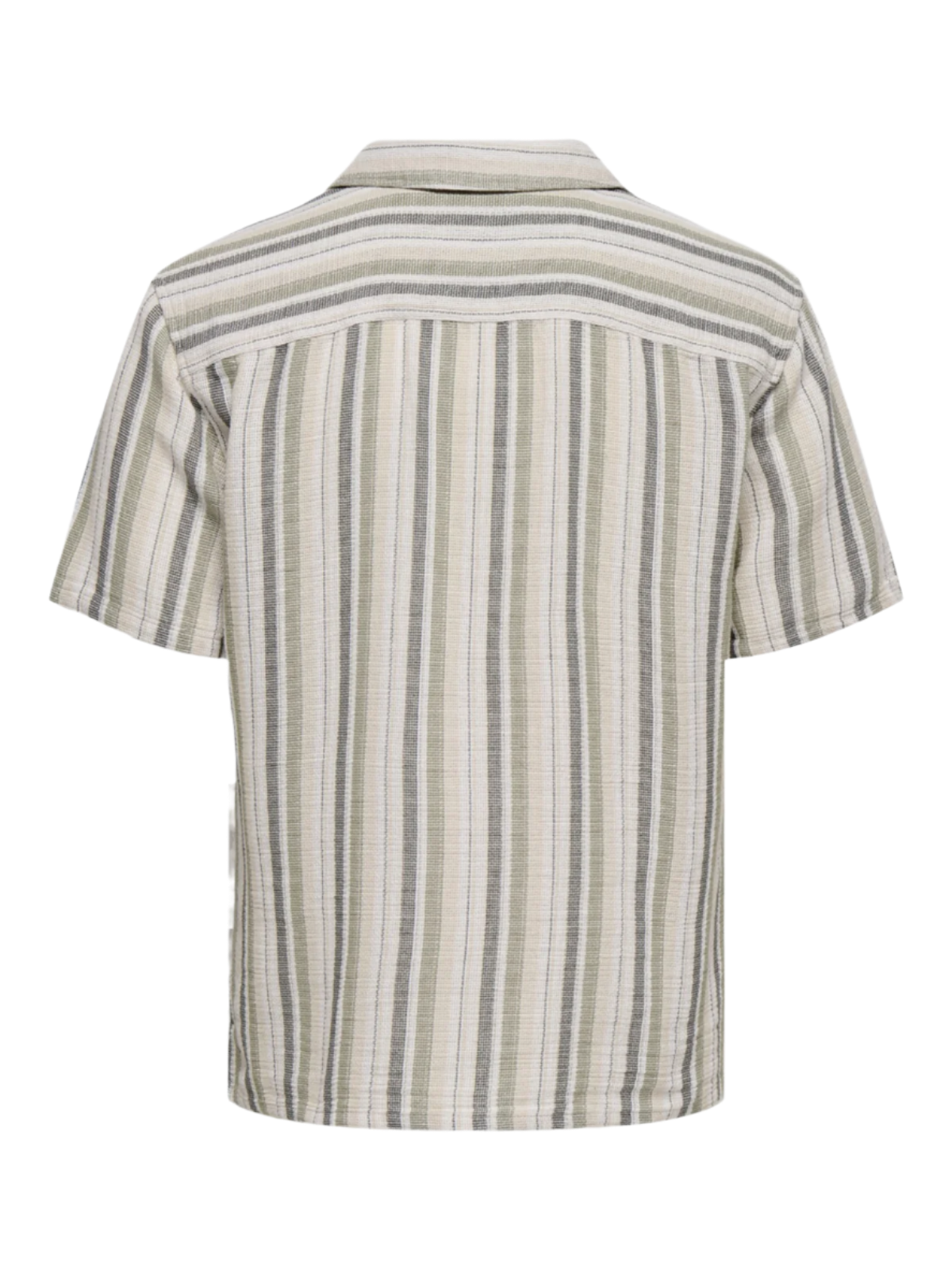 Trev Life Reg Stripe SS Shirt