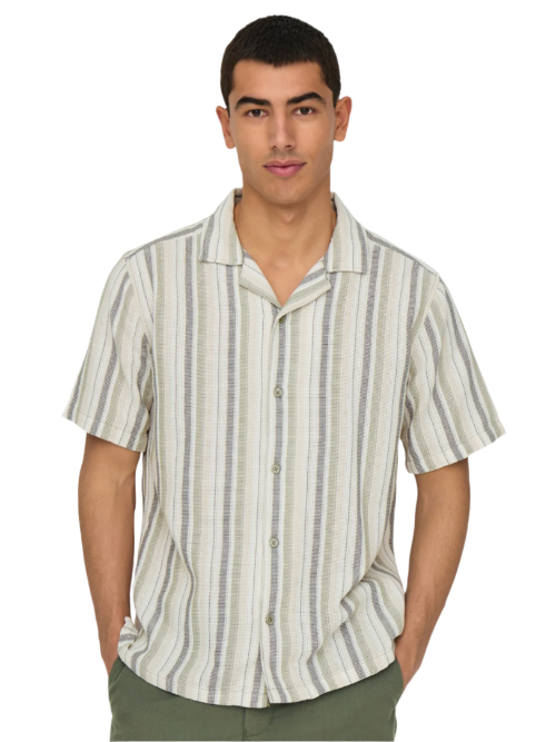 Trev Life Reg Stripe SS Shirt